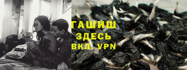 гидропоника Алзамай