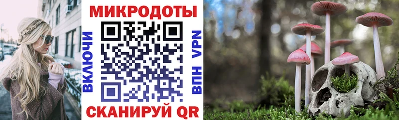 Псилоцибиновые грибы ЛСД Закаменск